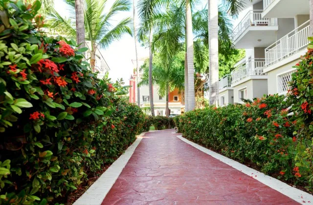 Sol Caribe Beach Club Resort Apartamento Jardin